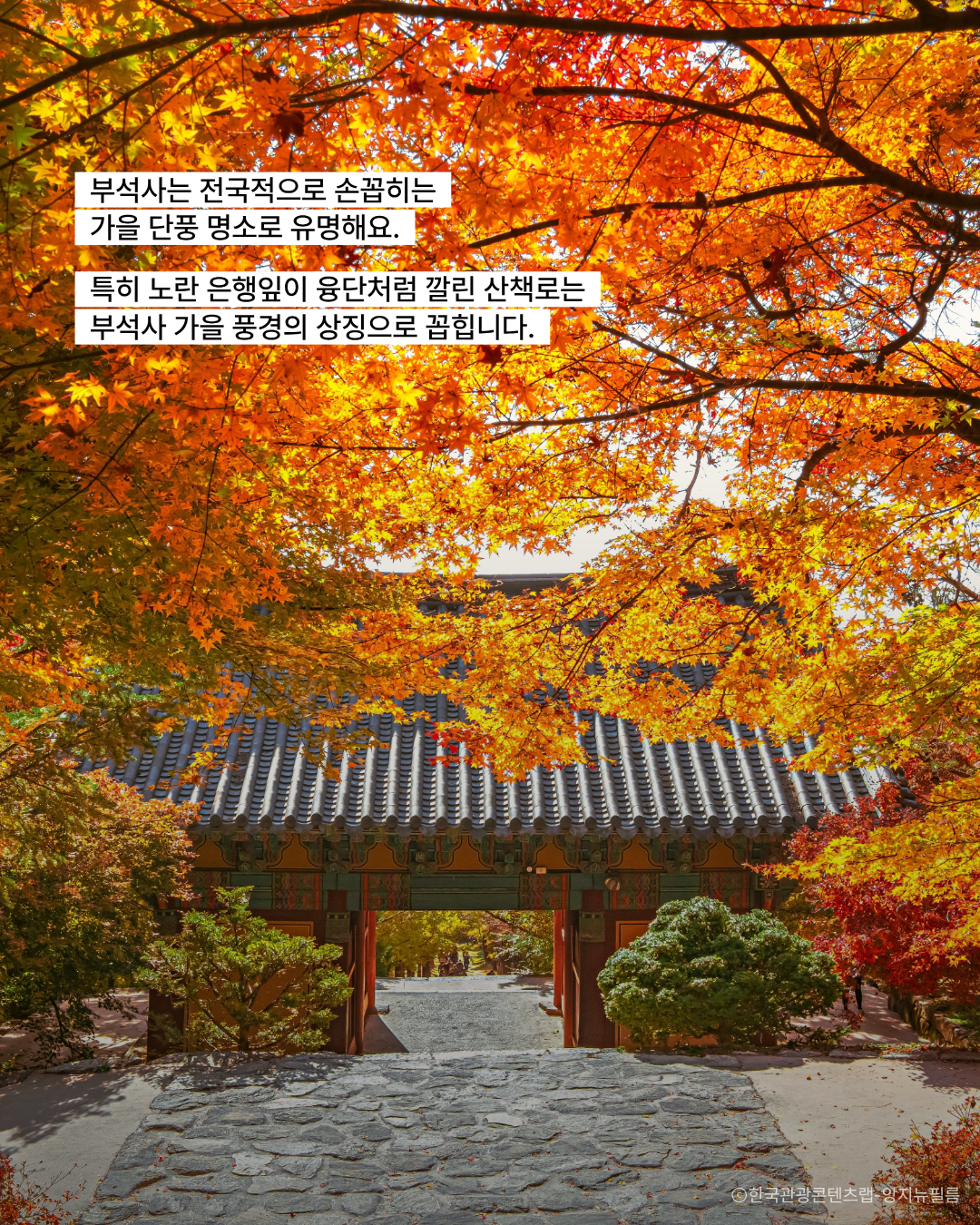 9fef0a6b55b581177bee1acaded0026e_1789534106_9381.png