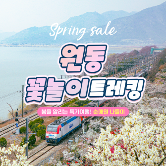 ★봄여행특가★ 원동 꽃놀이 트레킹 3/15(수)
