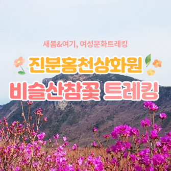 [새봄&여기] 진분홍 천상화원 비슬산참꽃 트레킹 4/20(목)
