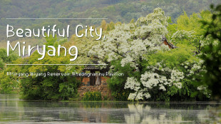Beautiful city, Miryang  / 시간이 머무른 곳, 밀양으로 가다