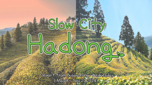 Slow City, Hadong  / 자연을 마시다, 하동