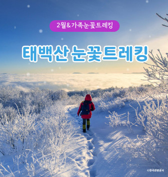 [2월 11일] 가족눈꽃트레킹 태백산