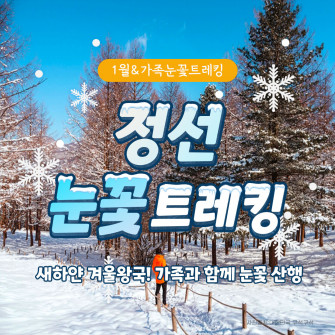 [1월 9일] 가족눈꽃트레킹 정선