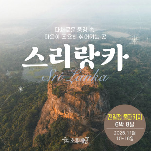 다채로운 풍경 속, 마음이 조용히 쉬어가는 곳 6박8일 (11/10 ~ 11/16)