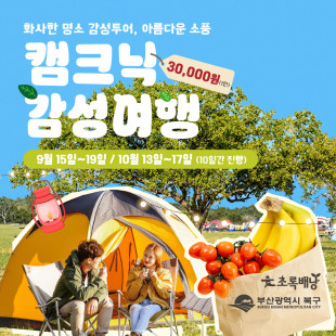 화사한 명소 감성투어, 아름다운 소풍 캠크닉 감성여행